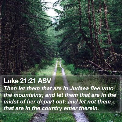 Luke 21:21 ASV Bible Verse Image