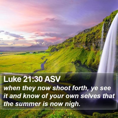 Luke 21:30 ASV Bible Verse Image