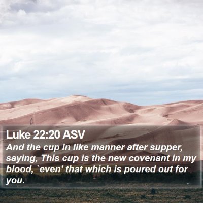 Luke 22:20 ASV Bible Verse Image
