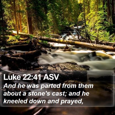 Luke 22:41 ASV Bible Verse Image
