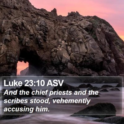 Luke 23:10 ASV Bible Verse Image