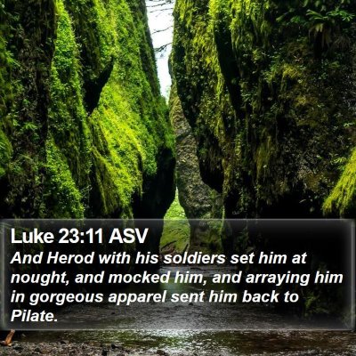 Luke 23:11 ASV Bible Verse Image