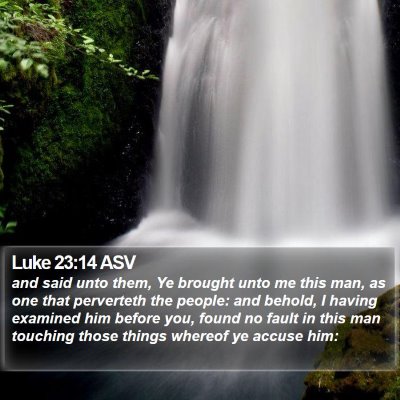 Luke 23:14 ASV Bible Verse Image