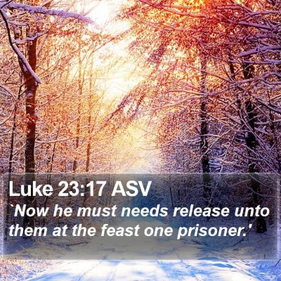 Luke 23:17 ASV Bible Verse Image