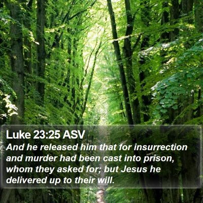 Luke 23:25 ASV Bible Verse Image
