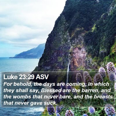Luke 23:29 ASV Bible Verse Image