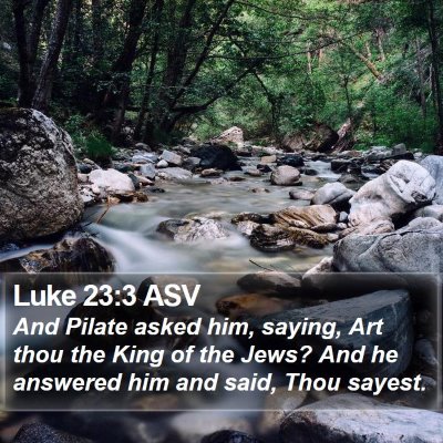 Luke 23:3 ASV Bible Verse Image