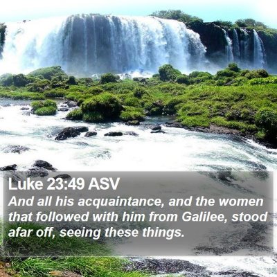 Luke 23:49 ASV Bible Verse Image