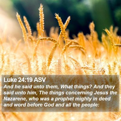 Luke 24:19 ASV Bible Verse Image