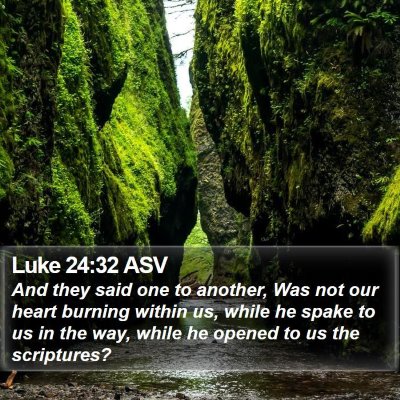 Luke 24:32 ASV Bible Verse Image