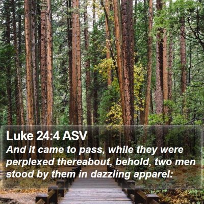 Luke 24:4 ASV Bible Verse Image