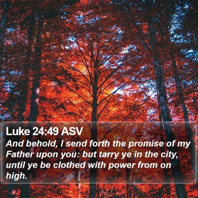 Luke 24:49 ASV Bible Verse Image