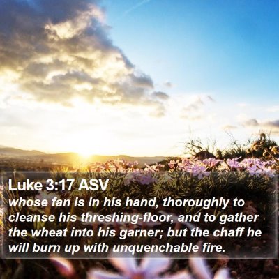 Luke 3:17 ASV Bible Verse Image