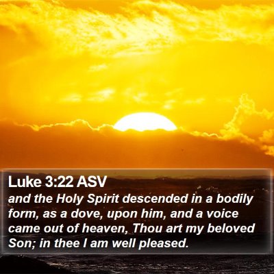 Luke 3:22 ASV Bible Verse Image