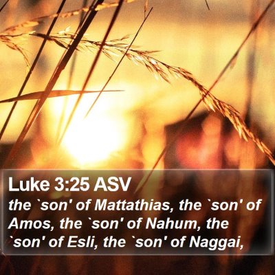Luke 3:25 ASV Bible Verse Image