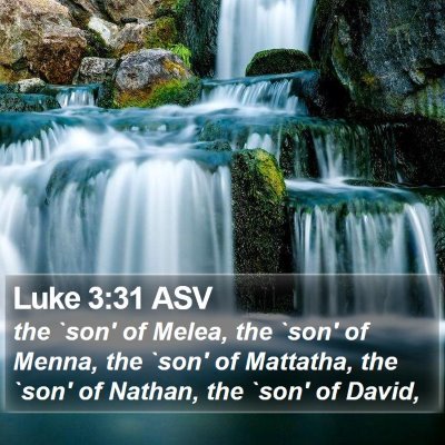 Luke 3:31 ASV Bible Verse Image