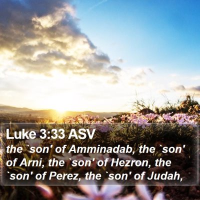 Luke 3:33 ASV Bible Verse Image