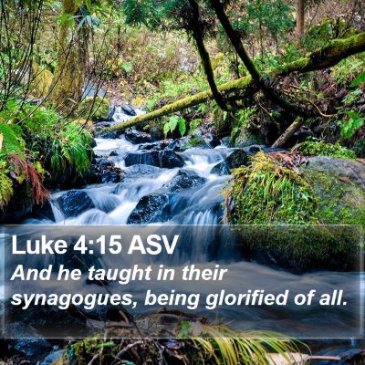 Luke 4:15 ASV Bible Verse Image
