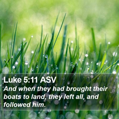 Luke 5:11 ASV Bible Verse Image
