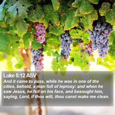 Luke 5:12 ASV Bible Verse Image