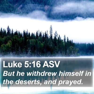 Luke 5:16 ASV Bible Verse Image