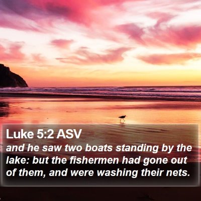 Luke 5:2 ASV Bible Verse Image