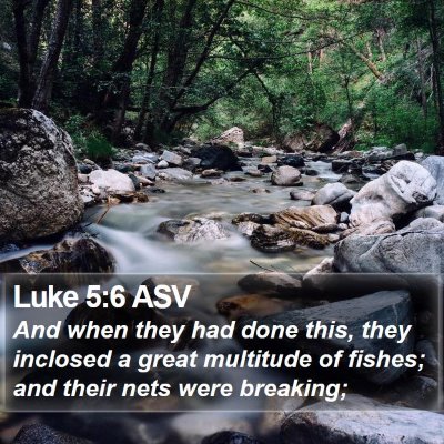 Luke 5:6 ASV Bible Verse Image
