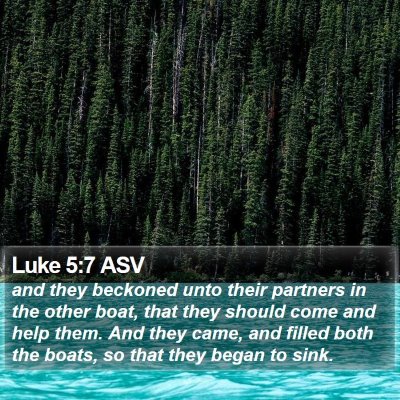 Luke 5:7 ASV Bible Verse Image