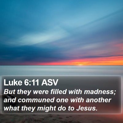 Luke 6:11 ASV Bible Verse Image
