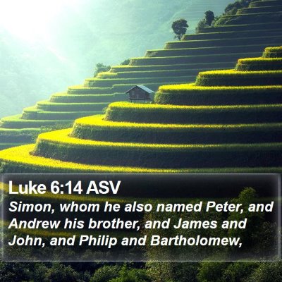 Luke 6:14 ASV Bible Verse Image