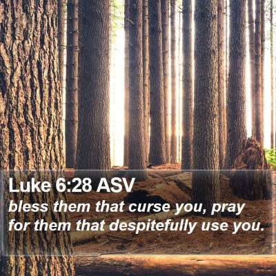 Luke 6:28 ASV Bible Verse Image