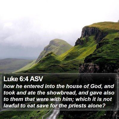 Luke 6:4 ASV Bible Verse Image