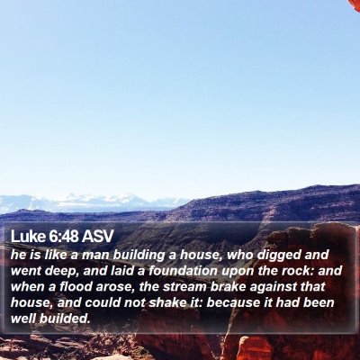 Luke 6:48 ASV Bible Verse Image