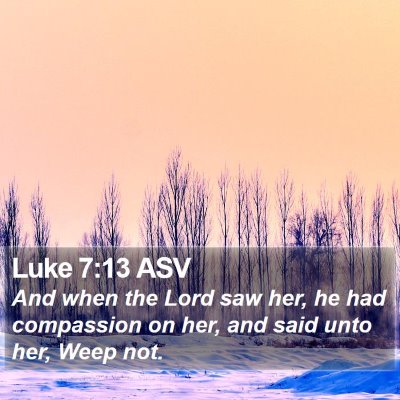 Luke 7:13 ASV Bible Verse Image