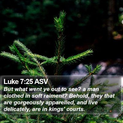 Luke 7:25 ASV Bible Verse Image