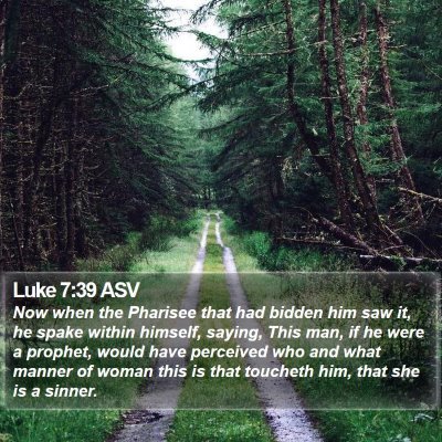 Luke 7:39 ASV Bible Verse Image