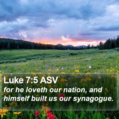 Luke 7:5 ASV Bible Verse Image