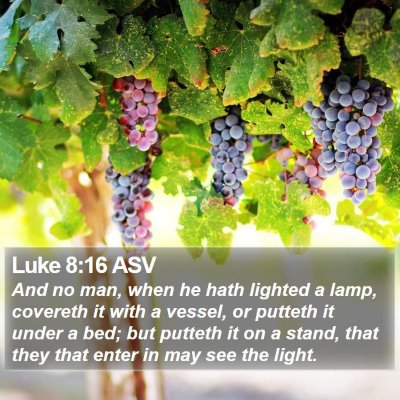 Luke 8:16 ASV Bible Verse Image