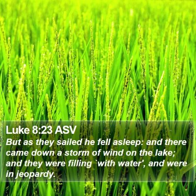 Luke 8:23 ASV Bible Verse Image