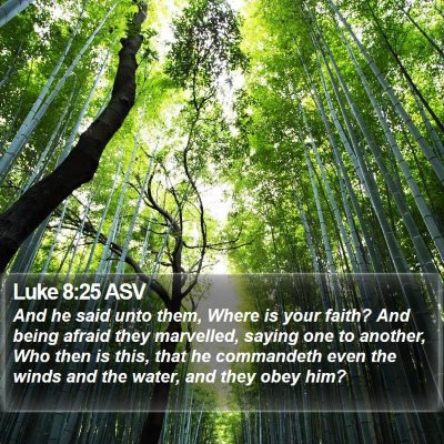 Luke 8:25 ASV Bible Verse Image