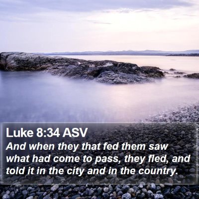 Luke 8:34 ASV Bible Verse Image