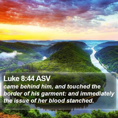 Luke 8:44 ASV Bible Verse Image