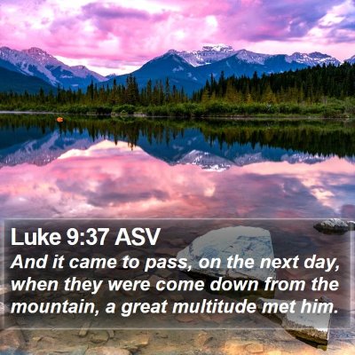 Luke 9:37 ASV Bible Verse Image