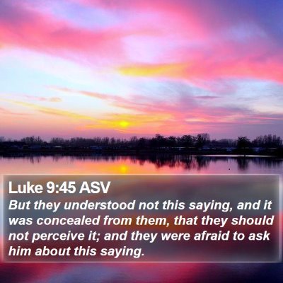 Luke 9:45 ASV Bible Verse Image