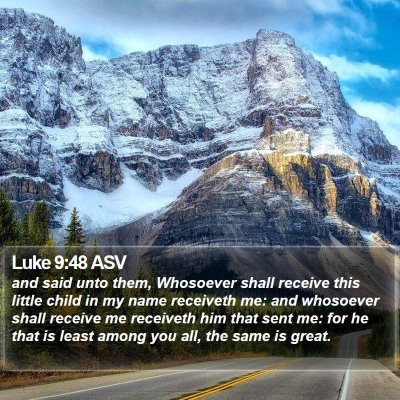 Luke 9:48 ASV Bible Verse Image