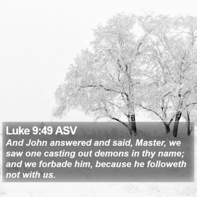Luke 9:49 ASV Bible Verse Image