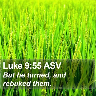 Luke 9:55 ASV Bible Verse Image