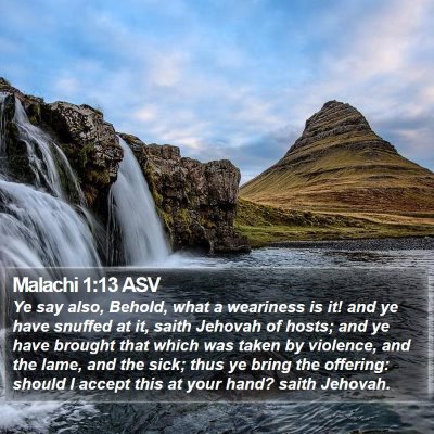 Malachi 1:13 ASV Bible Verse Image