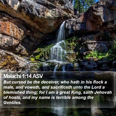 Malachi 1:14 ASV Bible Verse Image