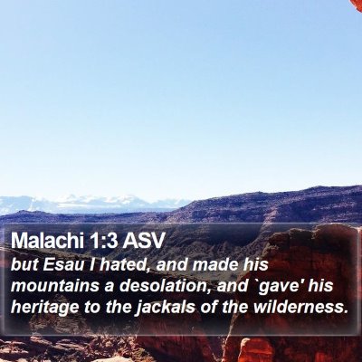 Malachi 1:3 ASV Bible Verse Image